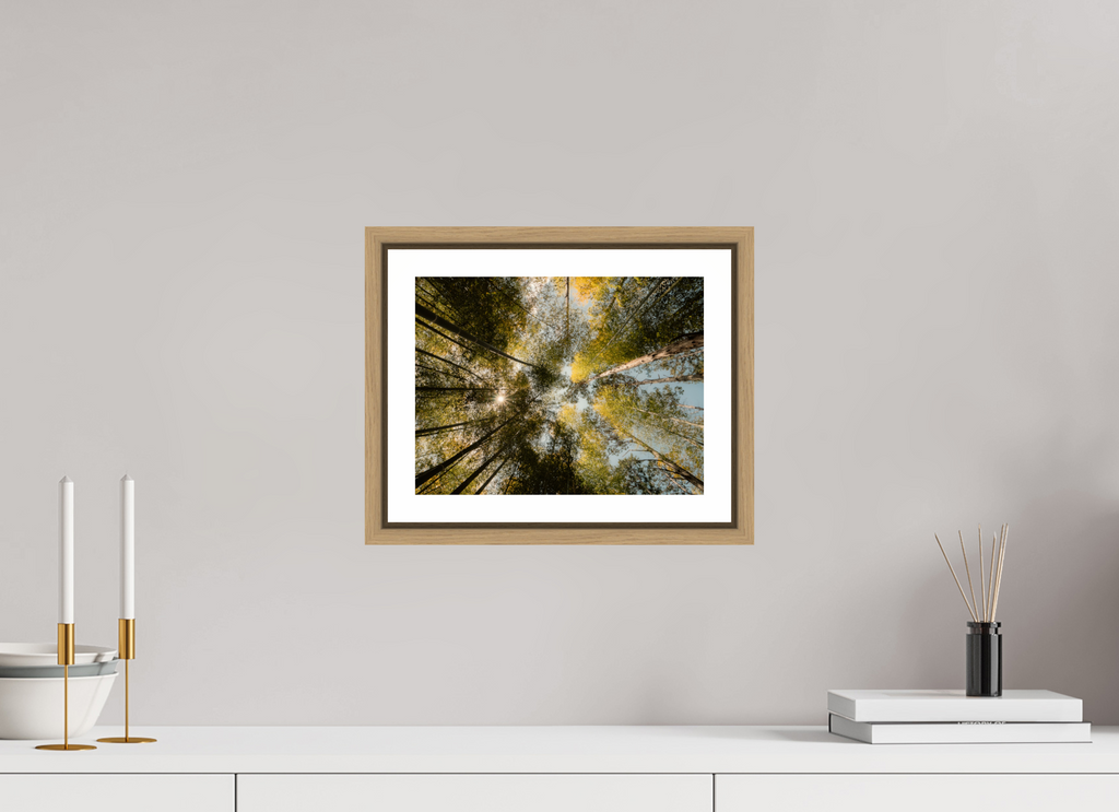 28 x 21 cm, Framed natural oak with border Sun through the trees