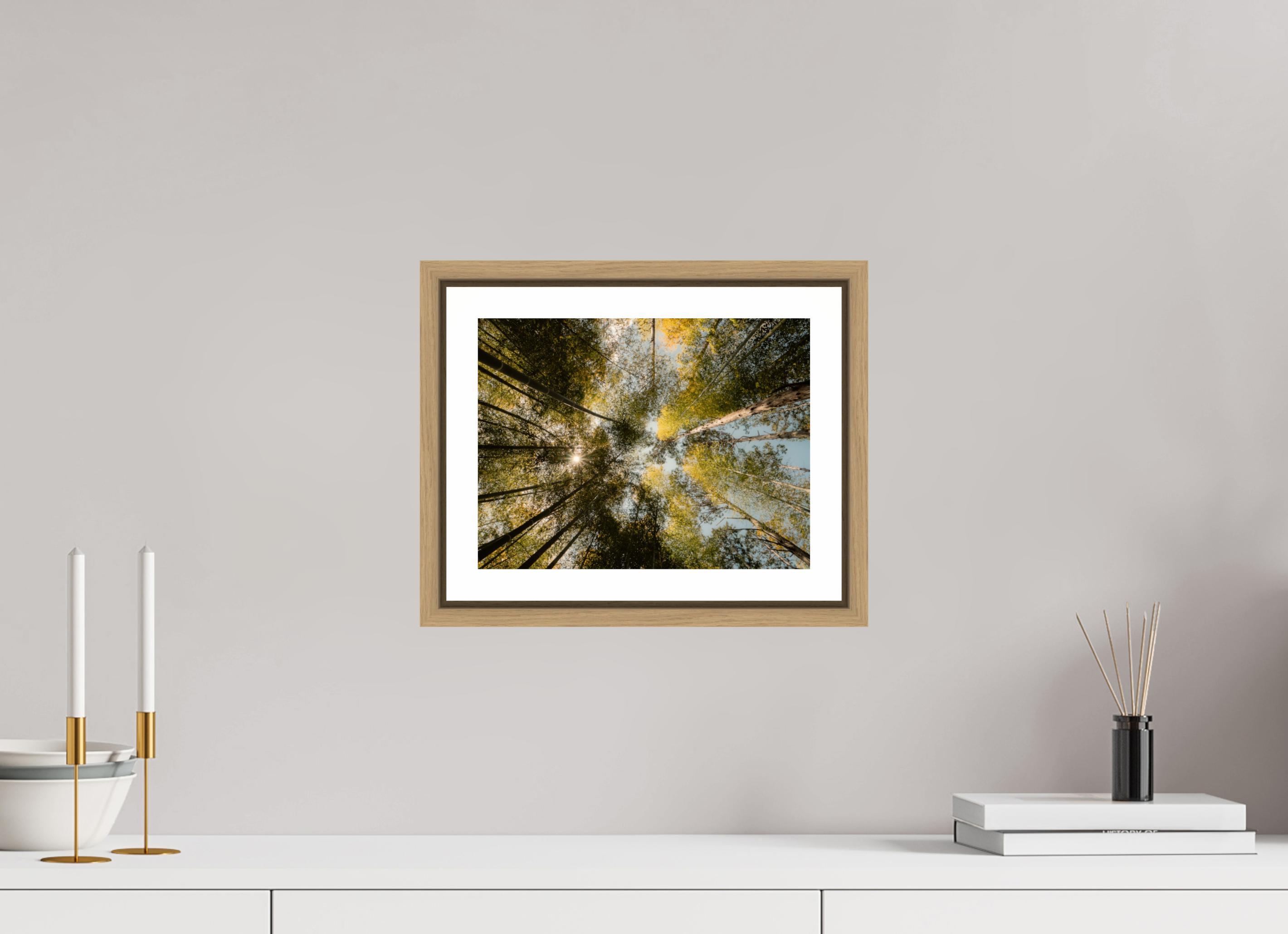 Sun through the trees