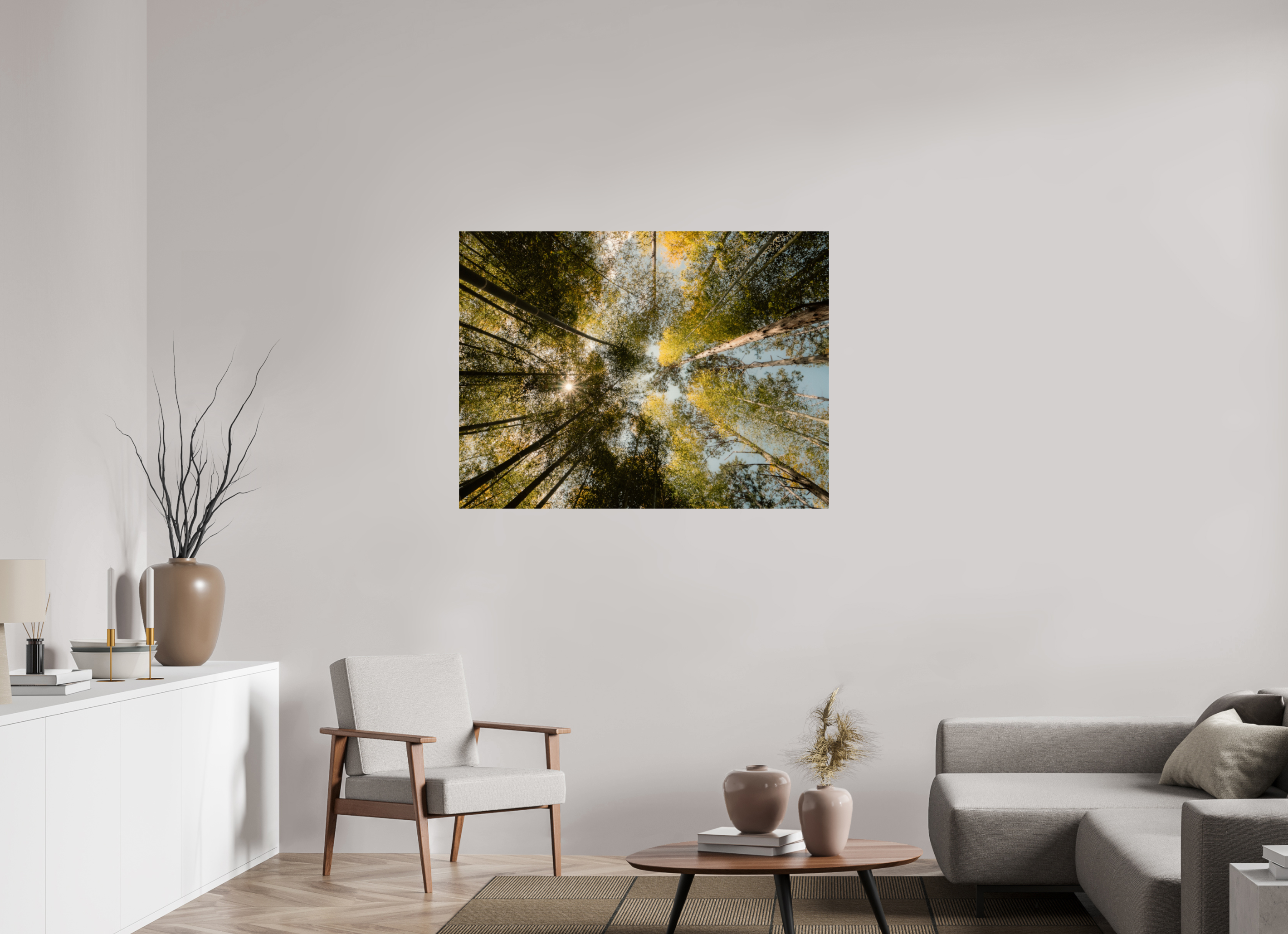 Sun through the trees