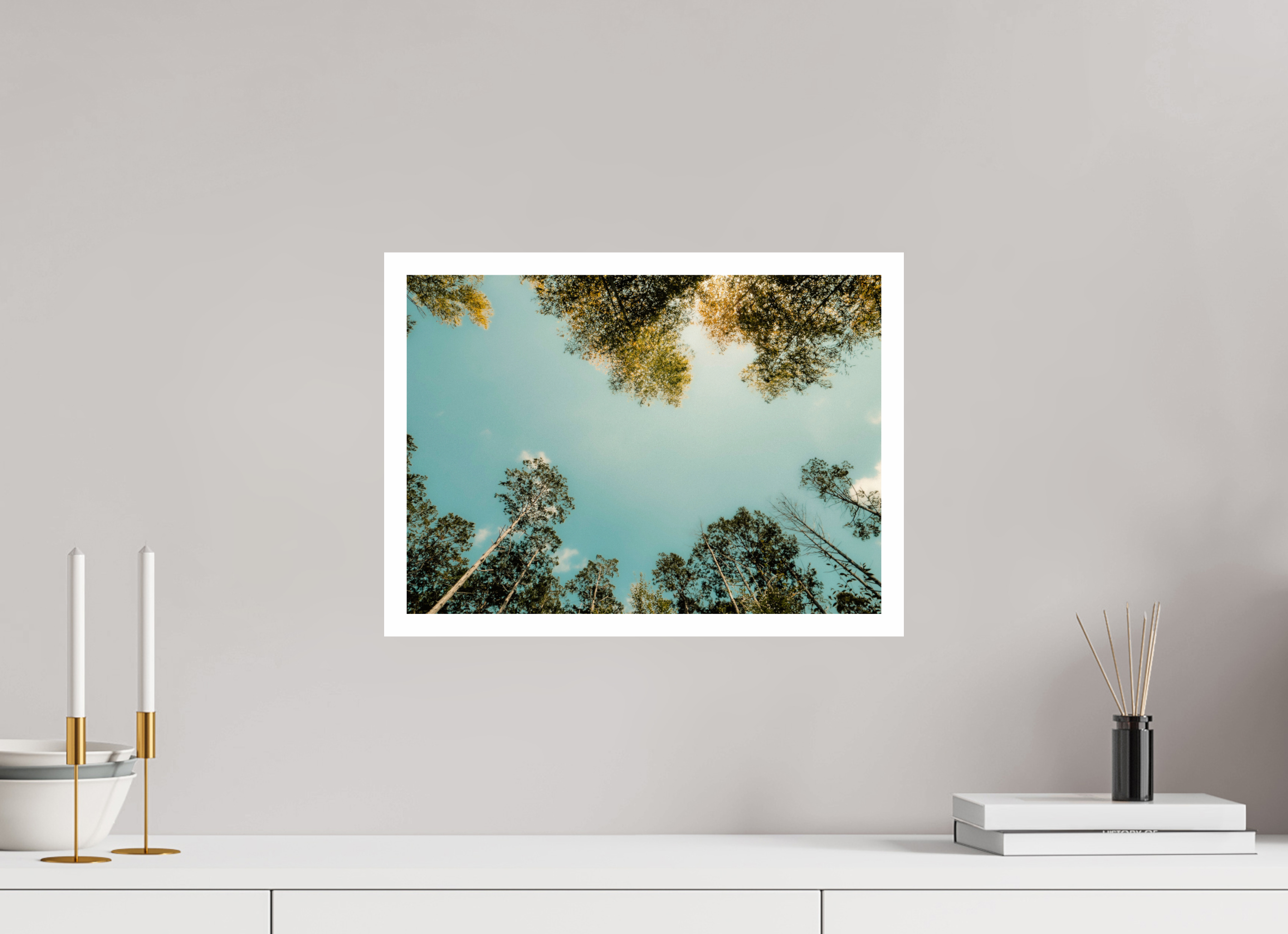 42 x 30 cm, Fuji Crystal DP II 2cm white border Mirrored trees