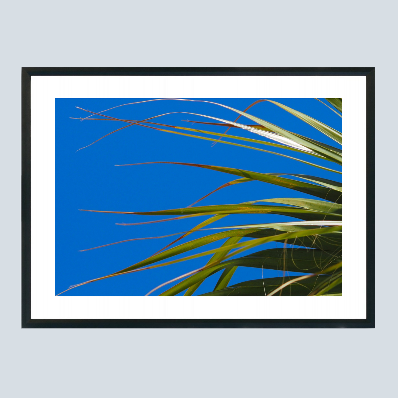 28 x 21 cm, Unframed Photo Print On Fuji Crystal DP II Nature in the wind