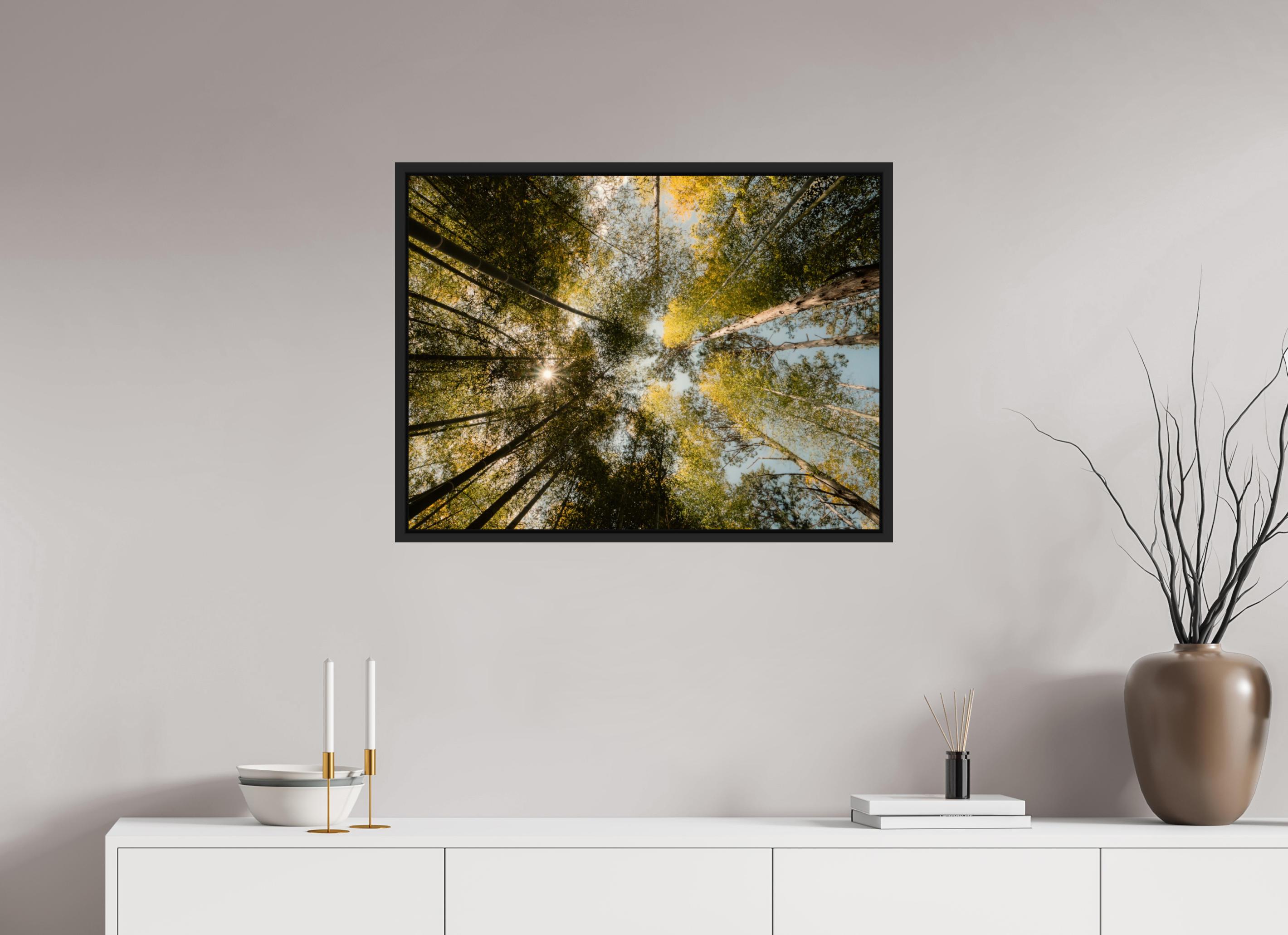 Sun through the trees