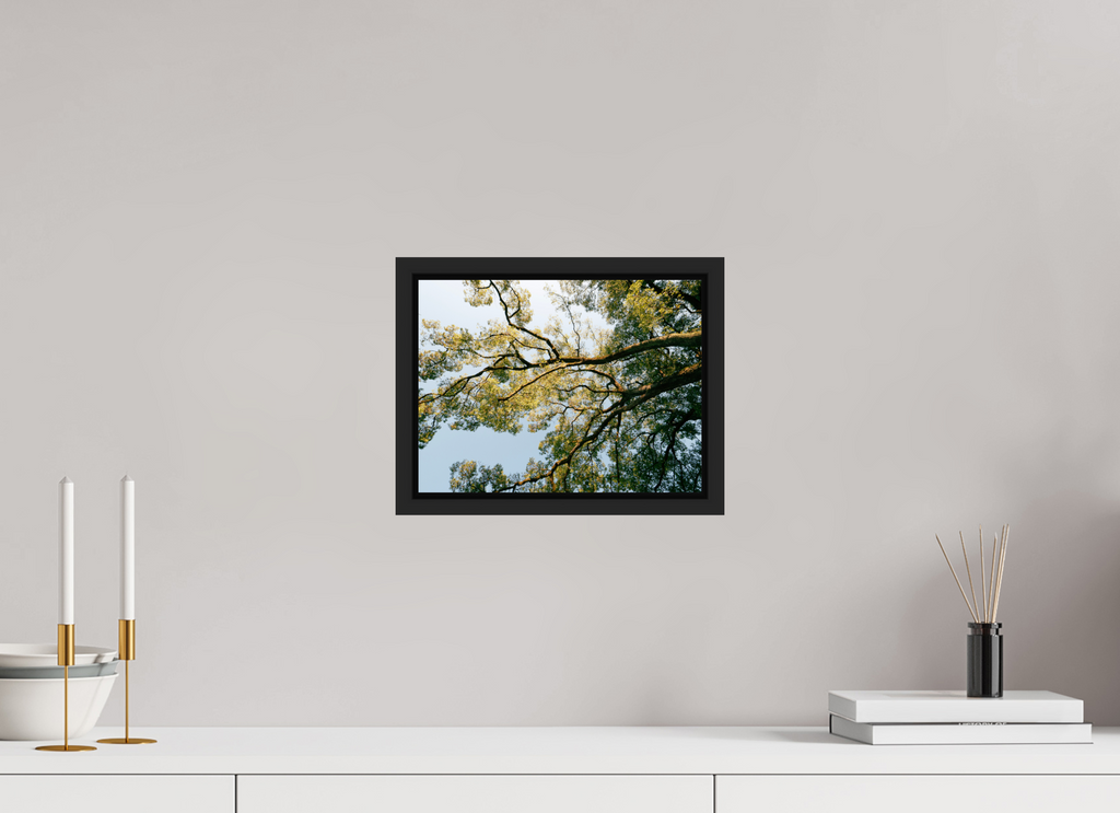 28 x 21 cm, Framed black matte fullbleed A big Japanese tree
