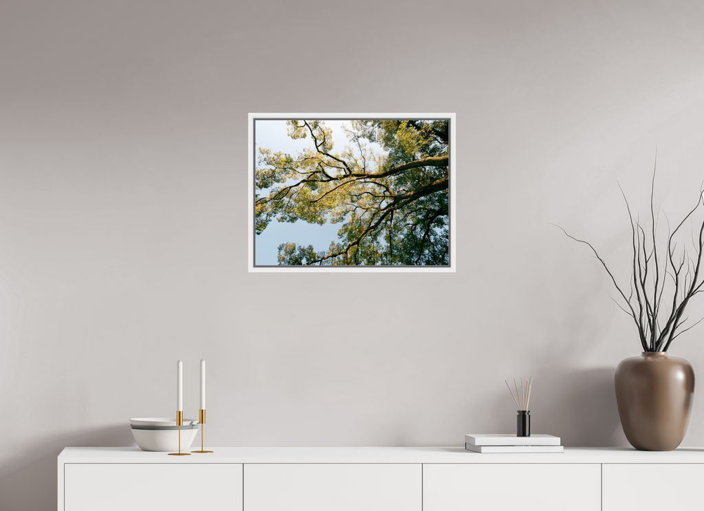 60 x 45 cm, Framed white fullbleed A big Japanese tree