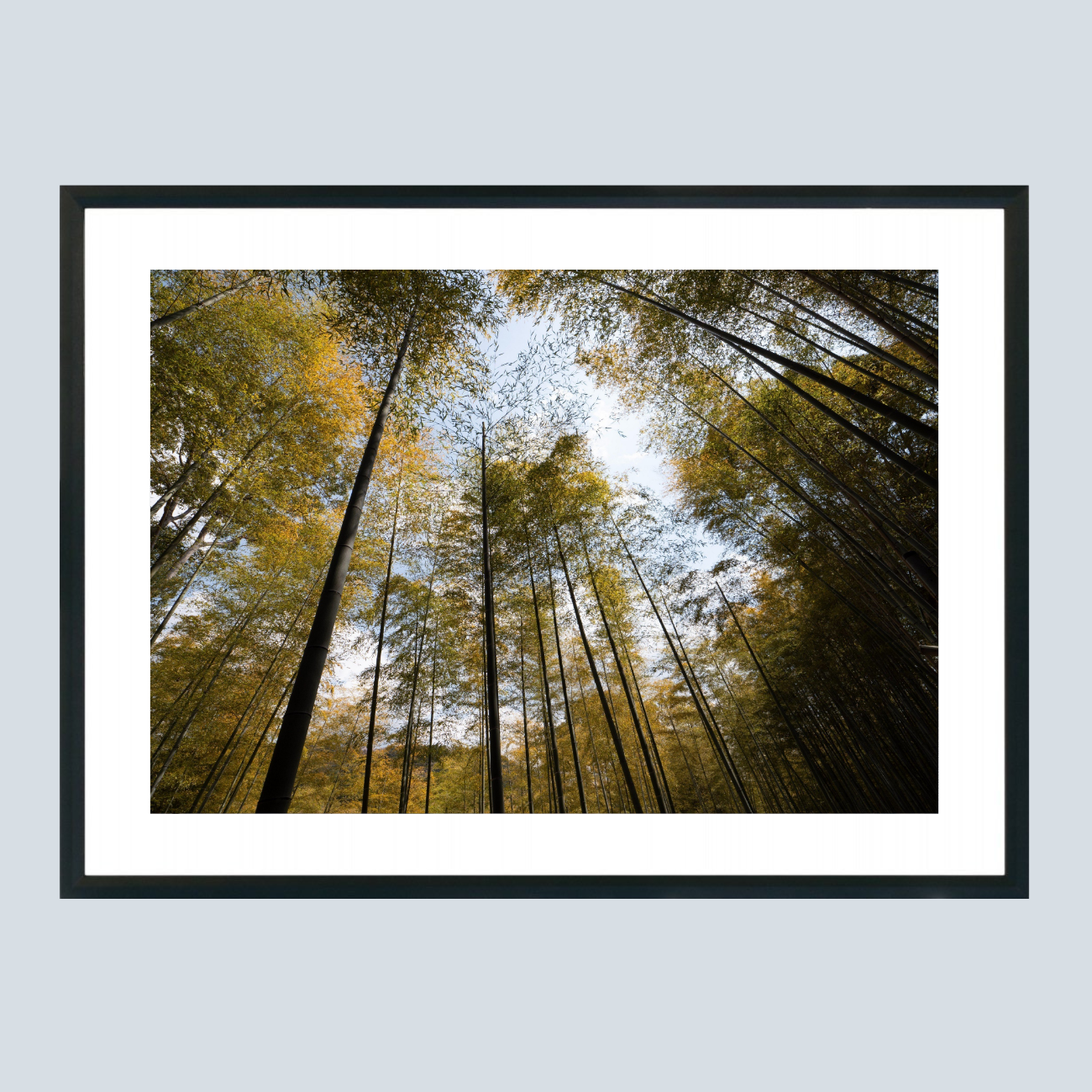 28 x 21 cm, Unframed Photo Print On Fuji Crystal DP II Bamboo in Japan