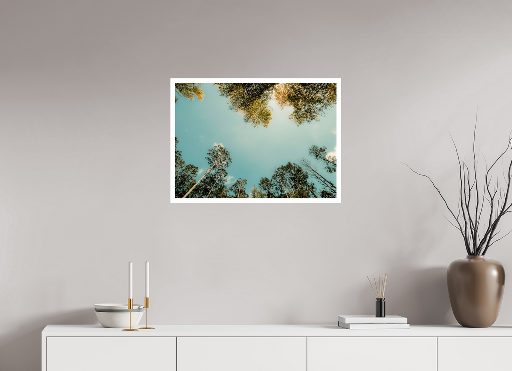 70 x 50 cm, Fuji Crystal DP II 2cm white border Mirrored trees