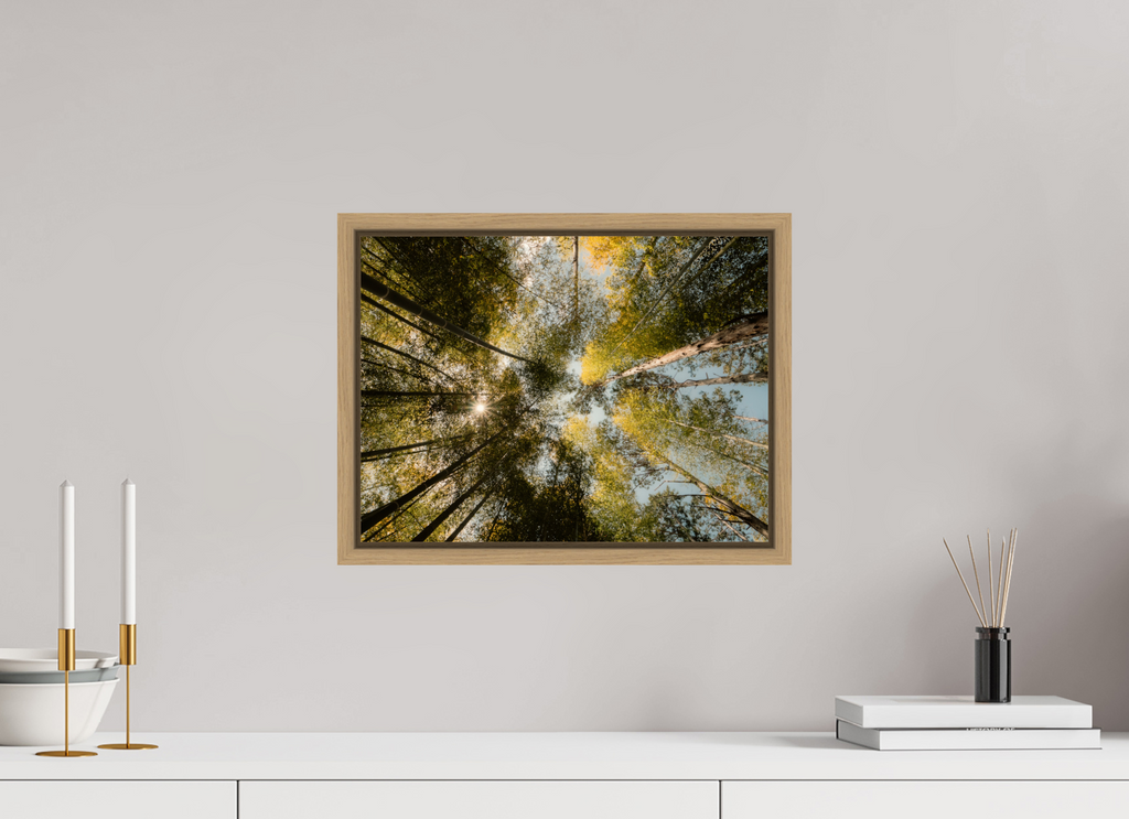 40 x 30 cm, Framed natural oak fullbleed Sun through the trees