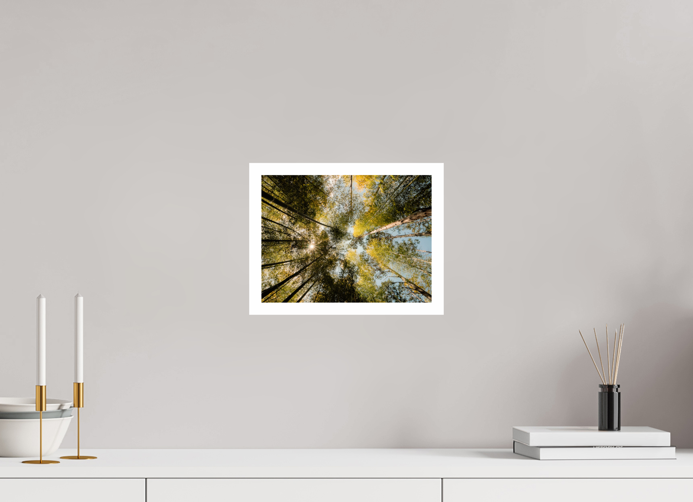 28 x 21 cm, Fuji Crystal DP II 2cm white border Sun through the trees