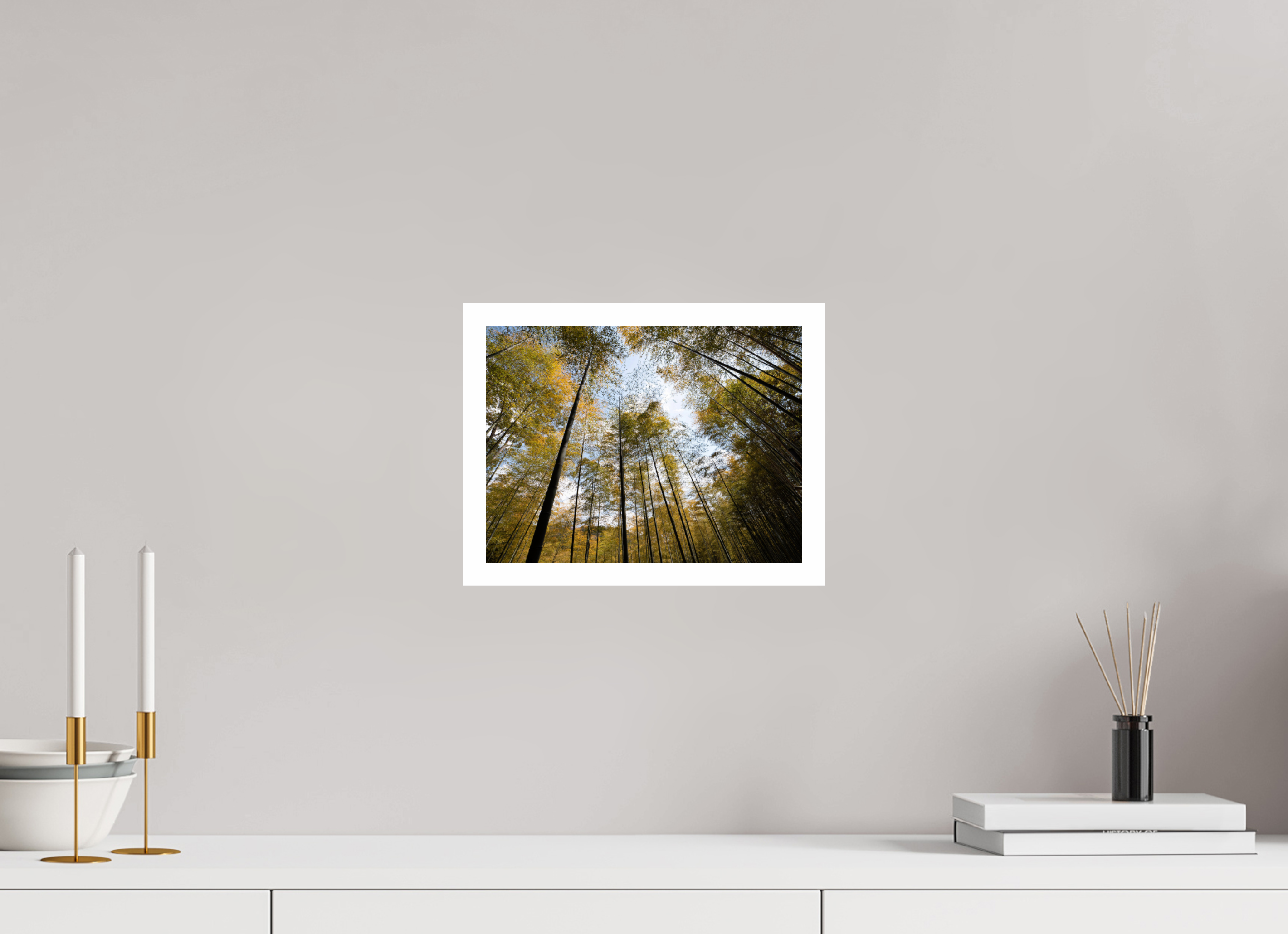 28 x 21 cm, Fuji Crystal DP II 2cm white border Bamboo in Japan