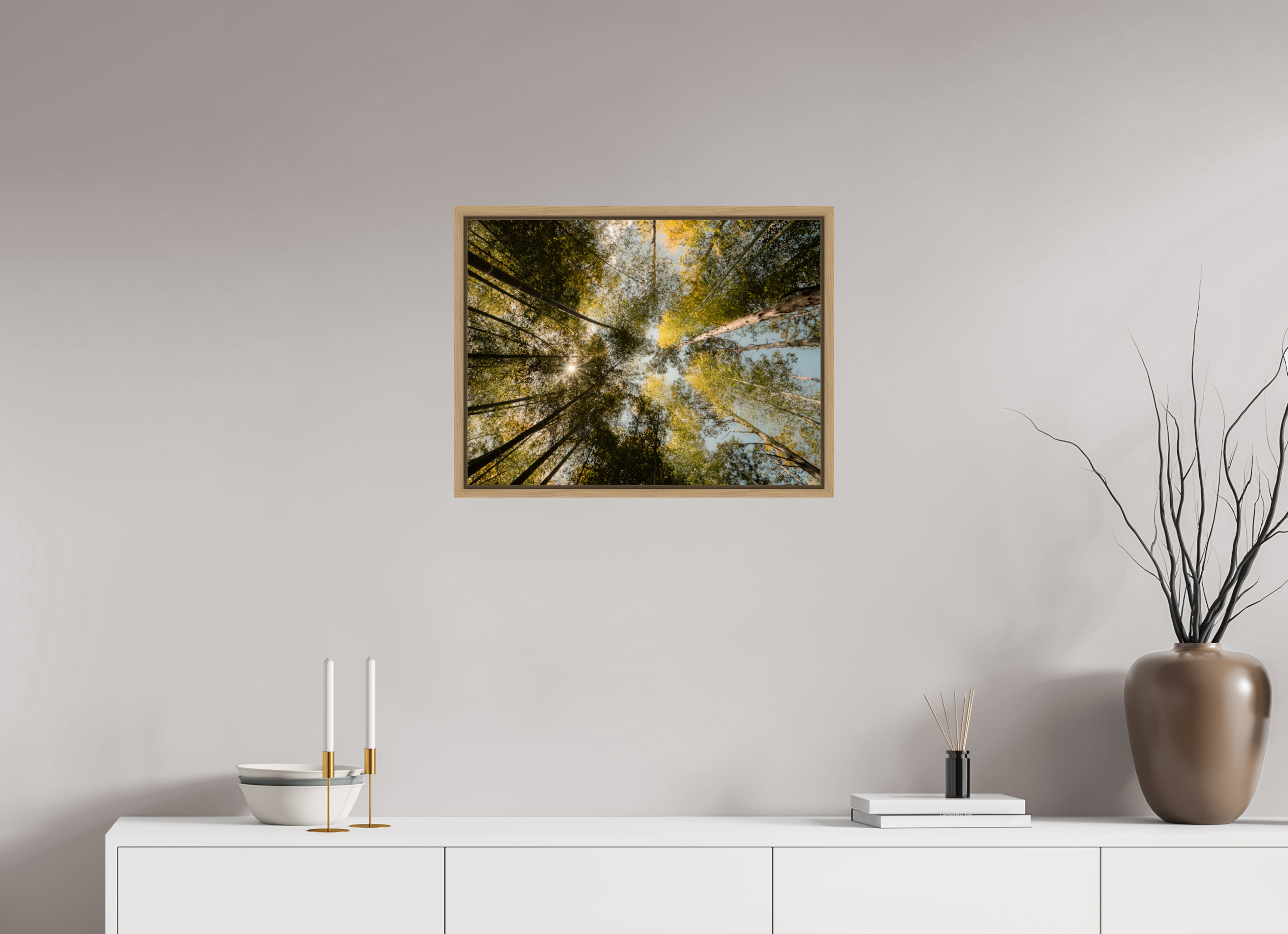 Sun through the trees