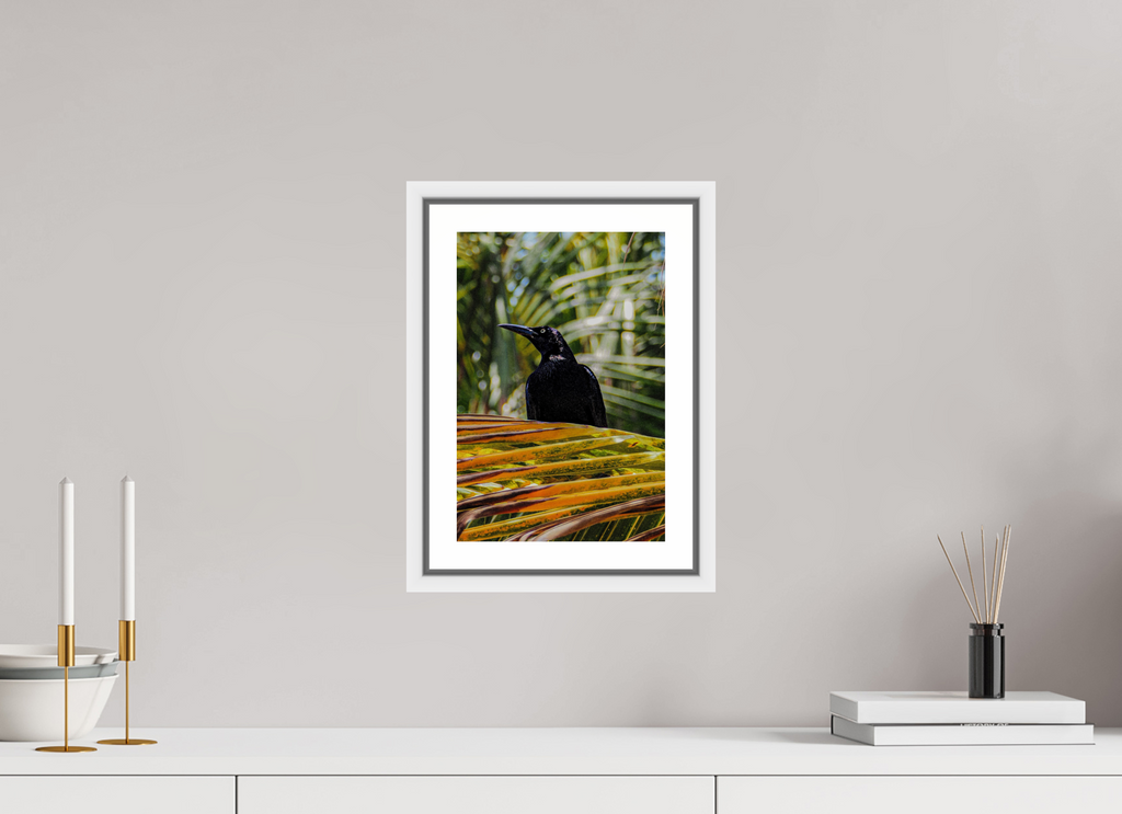 20 x 30 cm, Framed white with border A bird among the trees