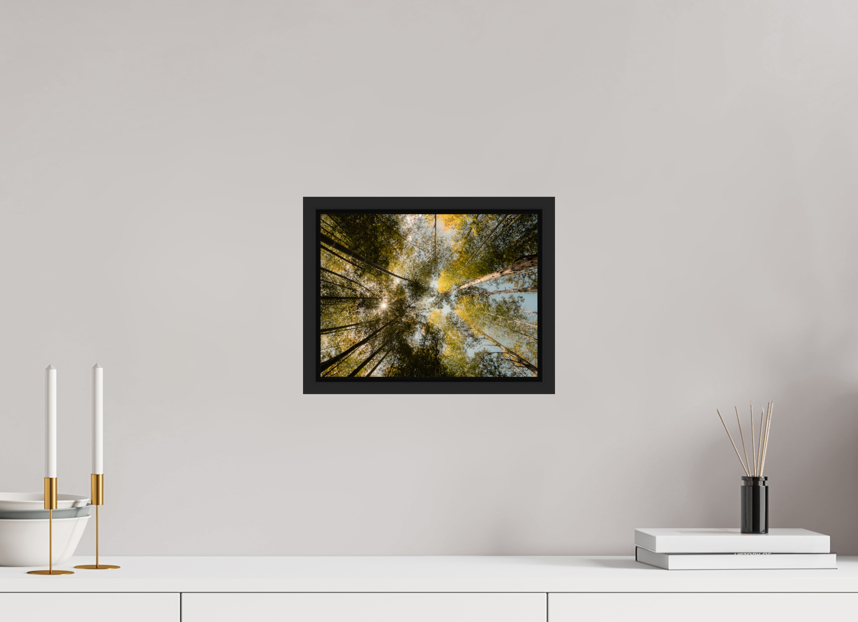 Sun through the trees