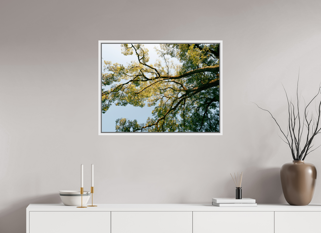 80 x 60 cm, Framed white fullbleed A big Japanese tree