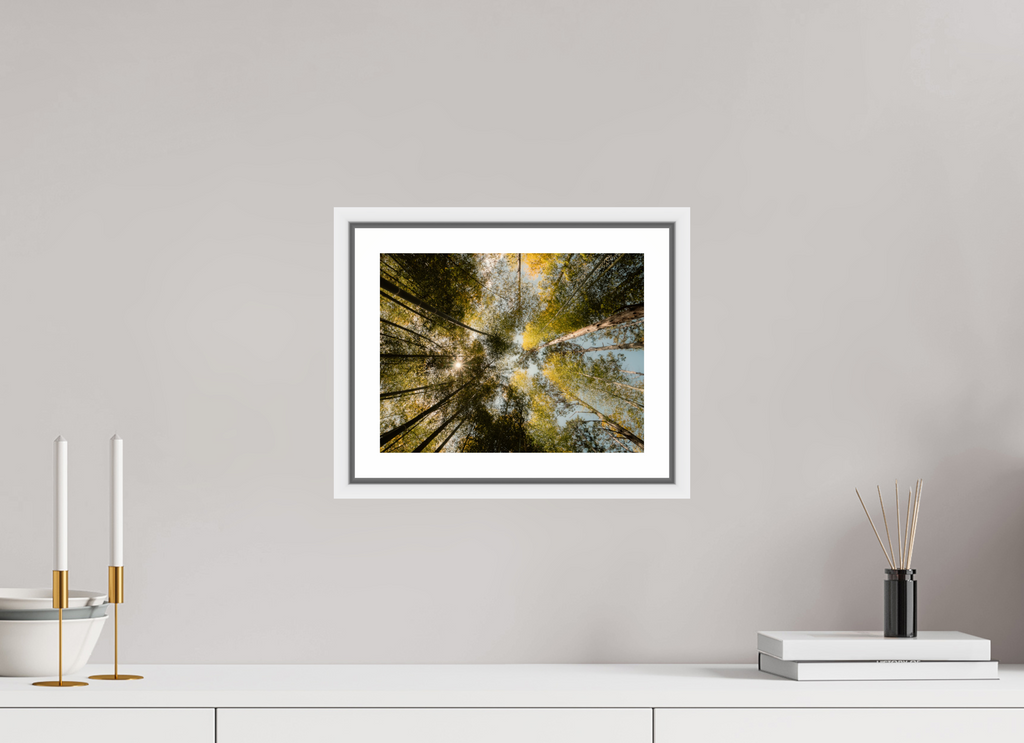 28 x 21 cm, Framed white with border Sun through the trees