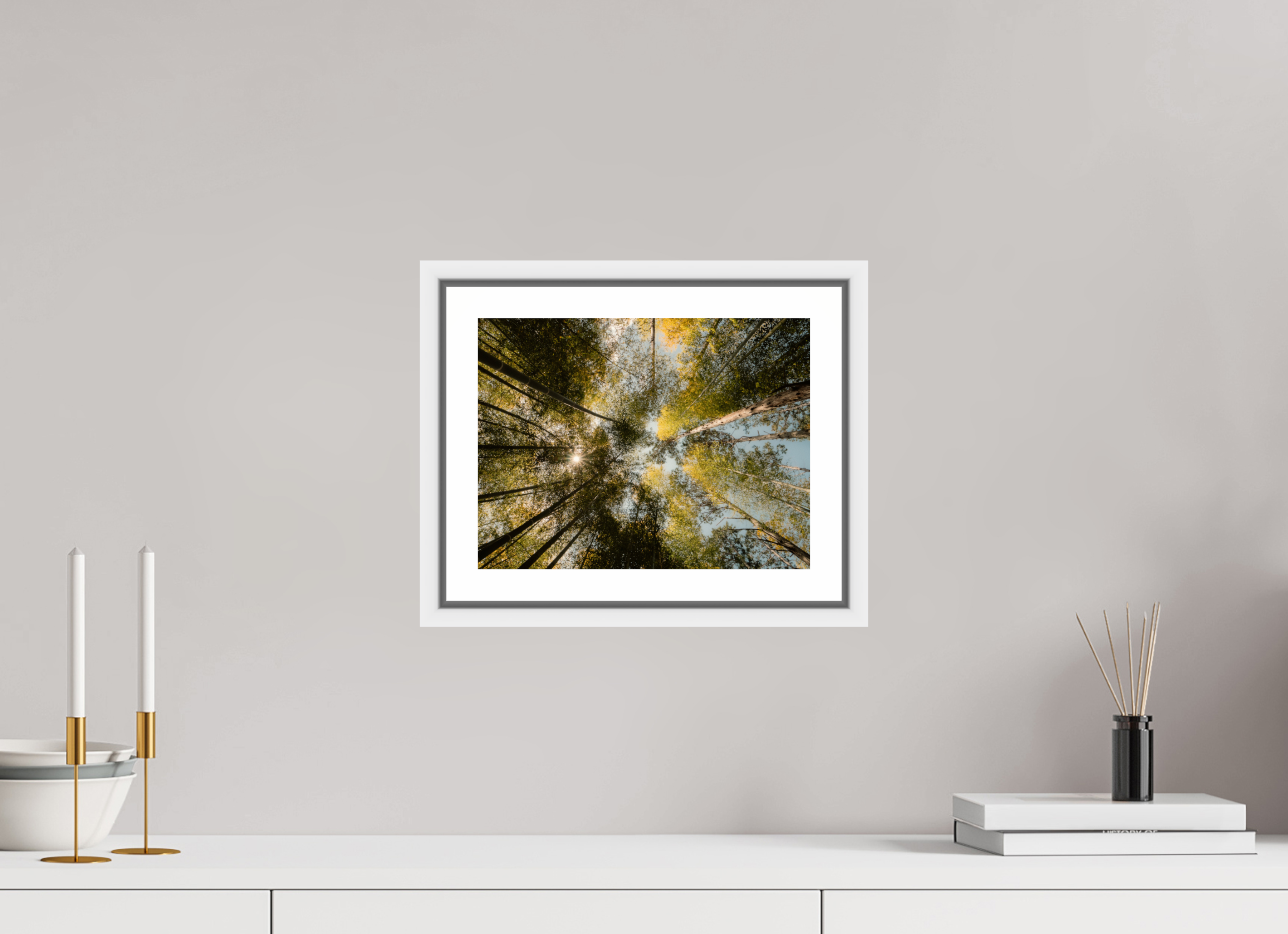 Sun through the trees