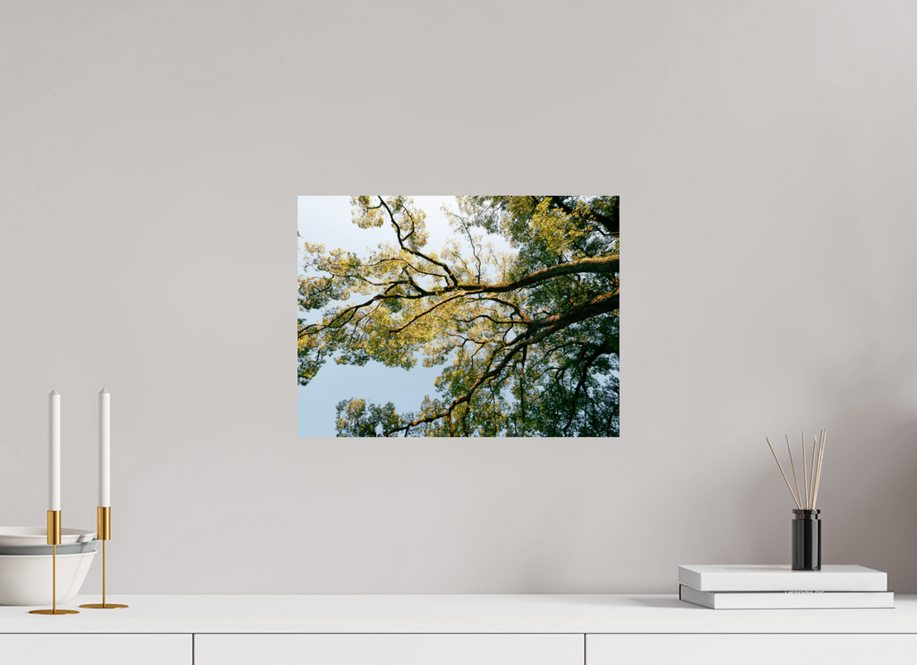 40 x 30 cm, Unframed Photo Print On Fuji Crystal DP II A big Japanese tree