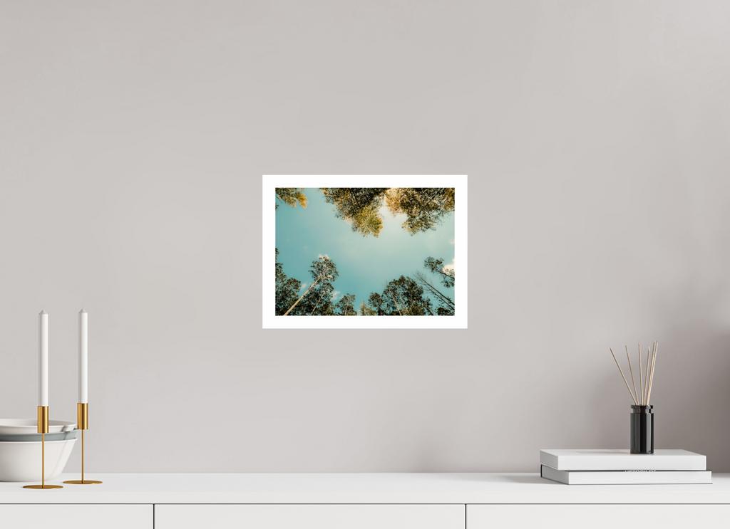 28 x 20 cm, Fuji Crystal DP II 2cm white border Mirrored trees