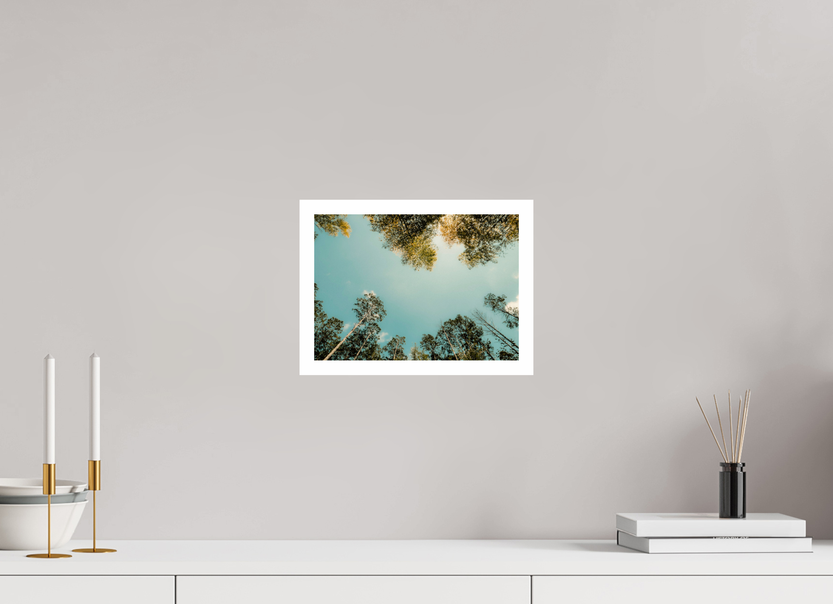 28 x 20 cm, Fuji Crystal DP II 2cm white border Mirrored trees