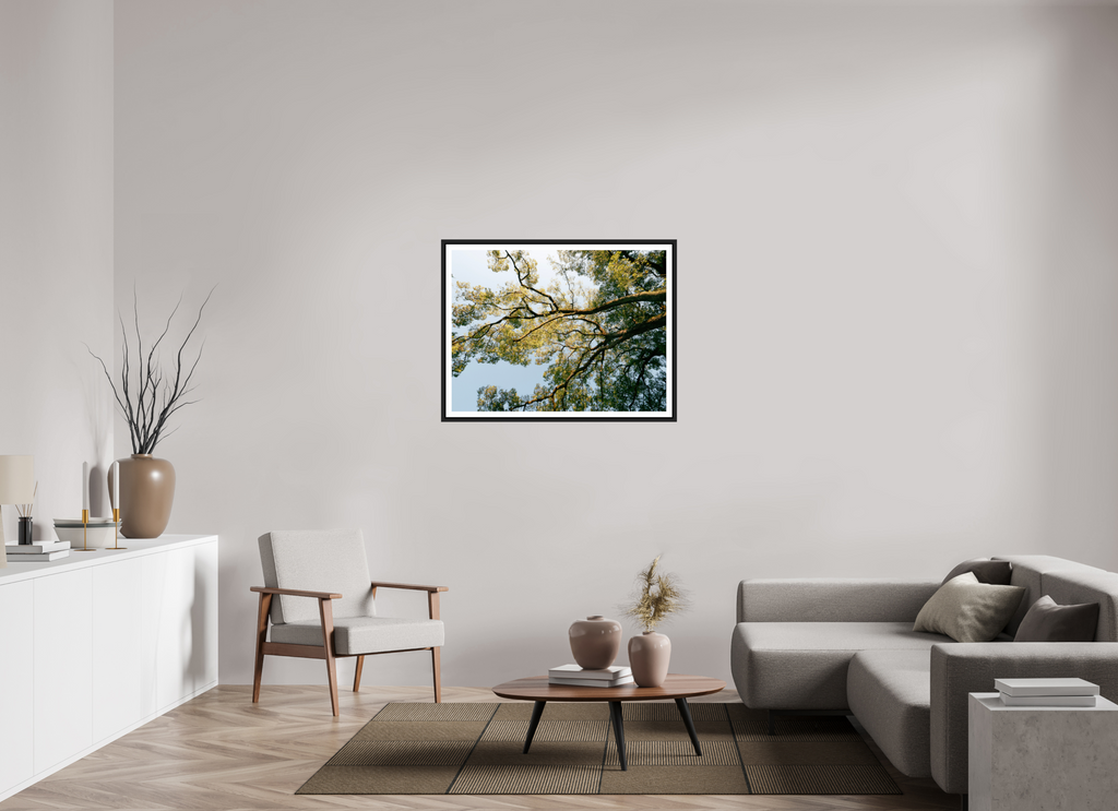 100 x 75 cm, Framed black matte with border A big Japanese tree