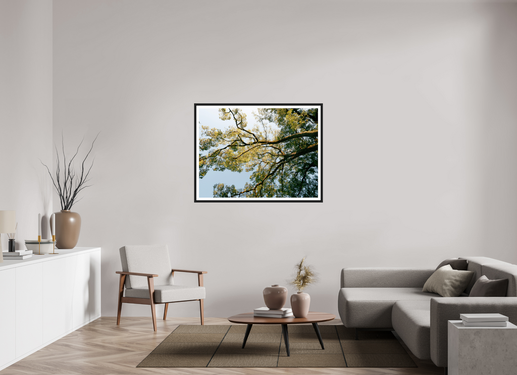 120 x 90 cm, Framed black matte with border A big Japanese tree