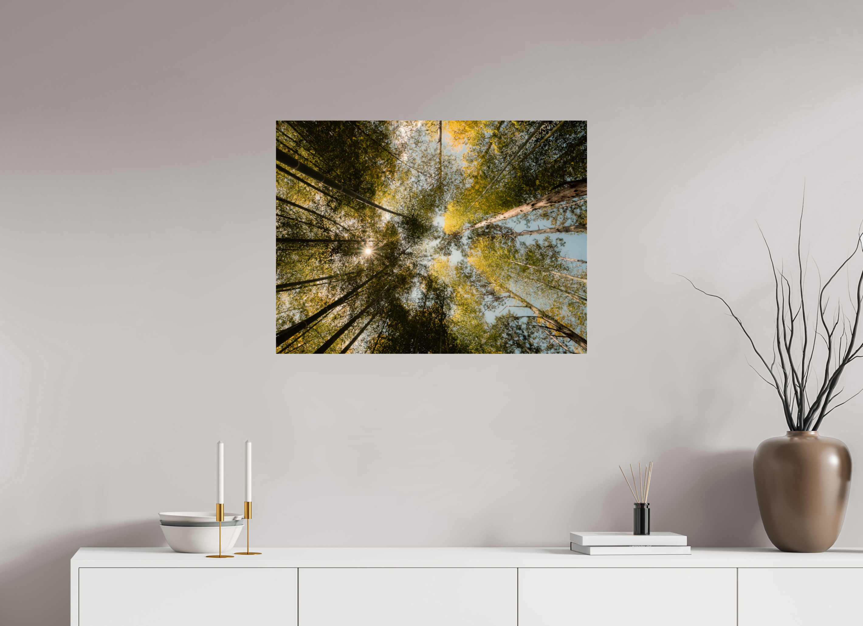 Sun through the trees