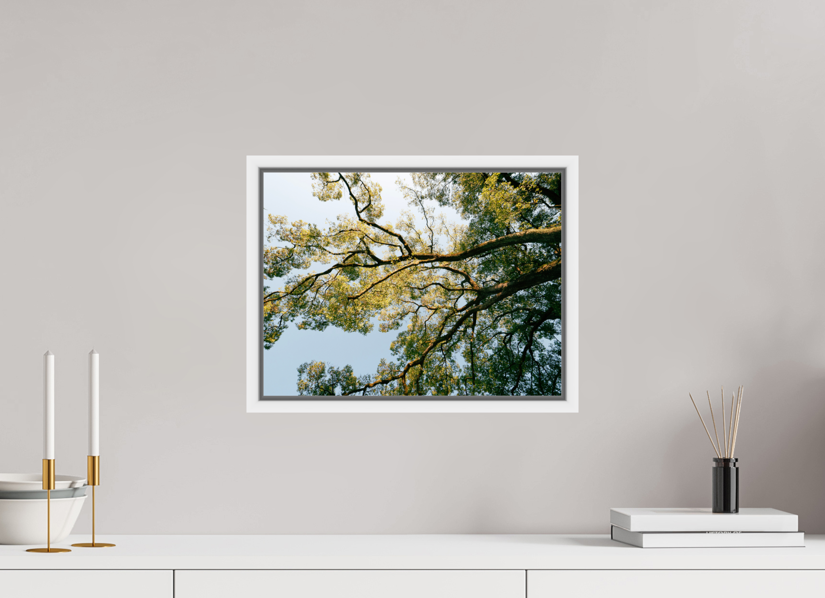 40 x 30 cm, Framed white fullbleed A big Japanese tree