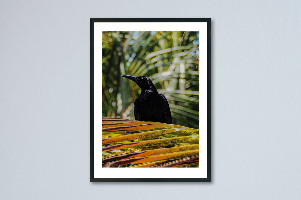 20 x 30 cm, Unframed Photo Print On Fuji Crystal DP II A bird among the trees