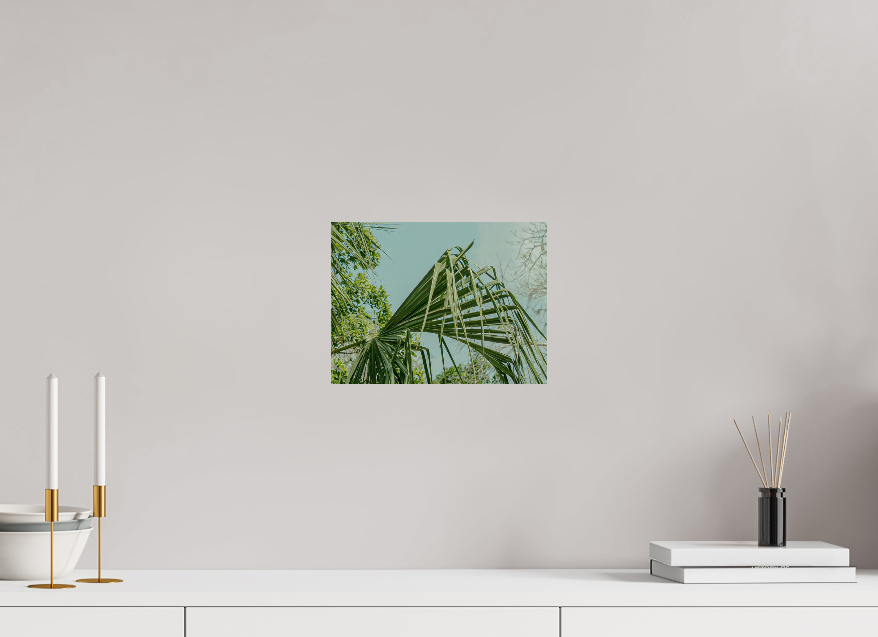 28 x 21 cm, Unframed Photo Print On Fuji Crystal DP II The Mexican Palm