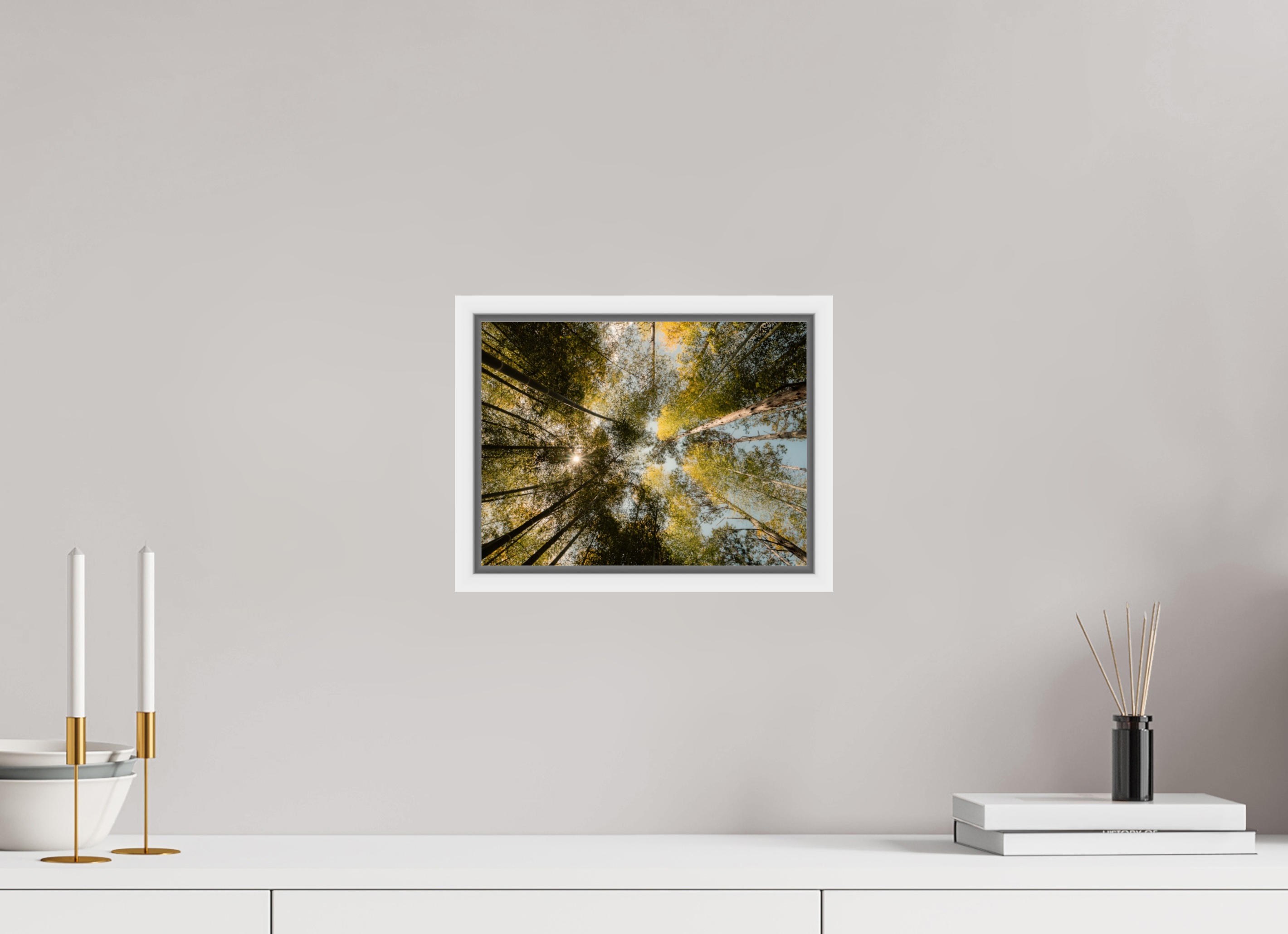 Sun through the trees