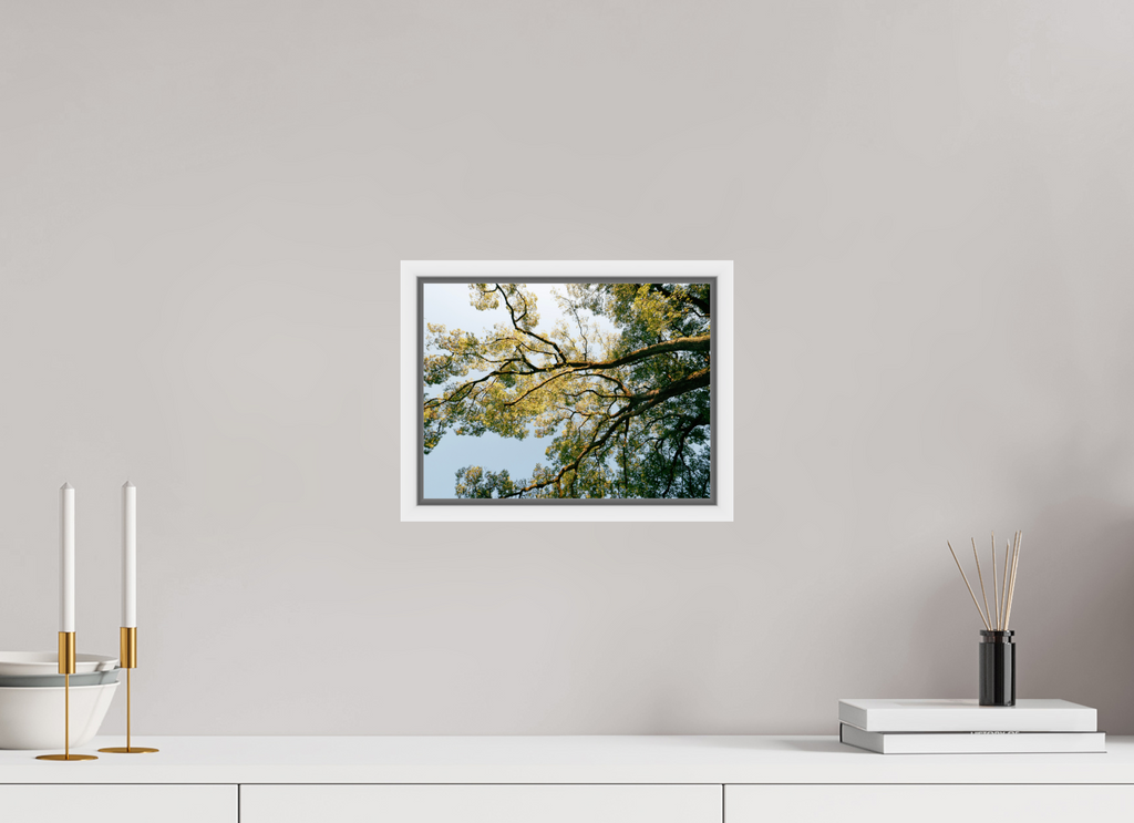 28 x 21 cm, Framed white fullbleed A big Japanese tree