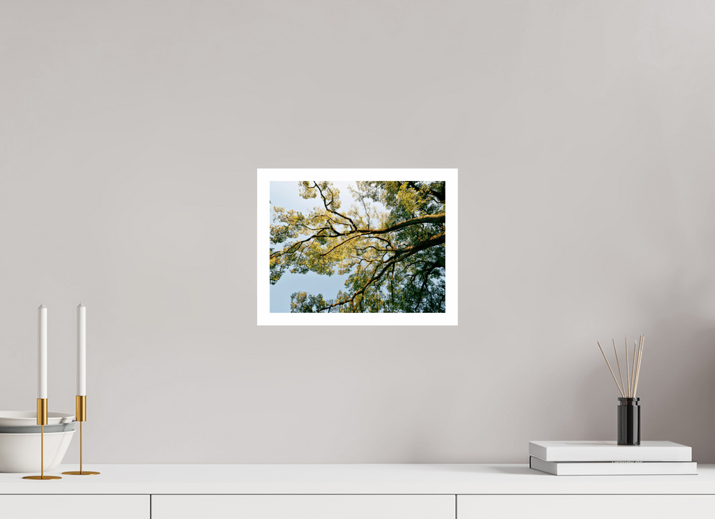 28 x 21 cm, Fuji Crystal DP II 2cm white border A big Japanese tree