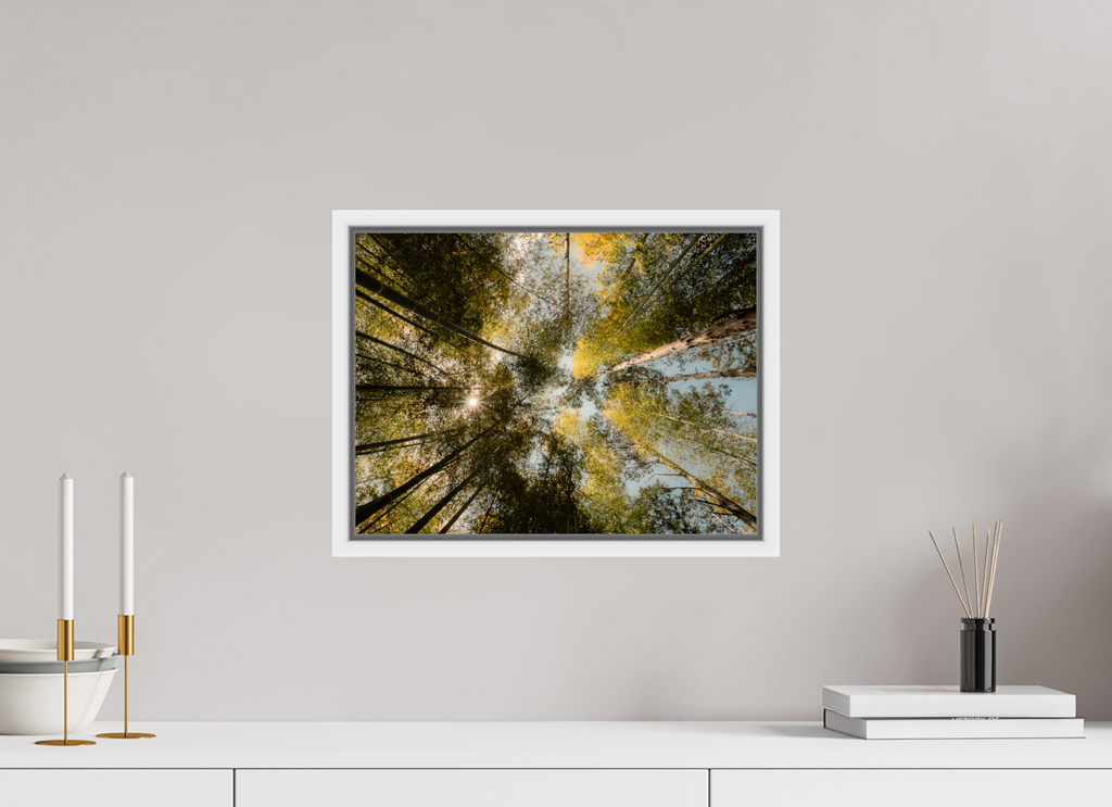 40 x 30 cm, Framed white fullbleed Sun through the trees