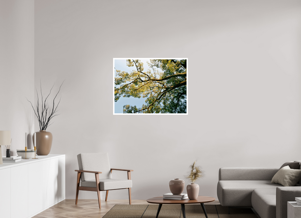 100 x 75 cm, Fuji Crystal DP II 2cm white border A big Japanese tree