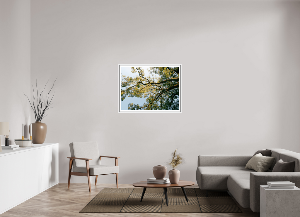 100 x 75 cm, Framed white with border A big Japanese tree