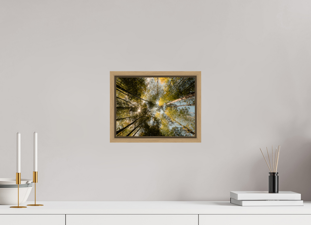 28 x 21 cm, Framed natural oak fullbleed Sun through the trees