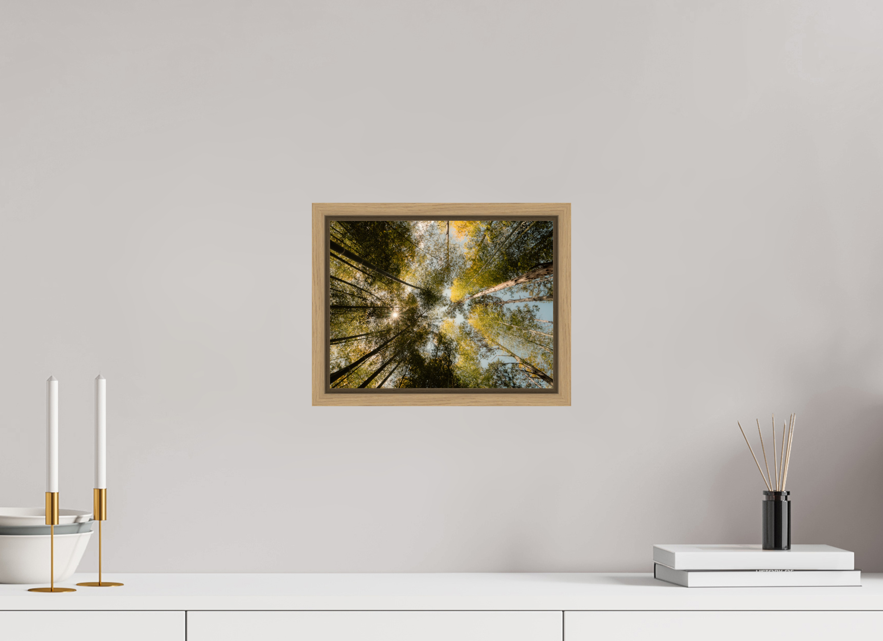 Sun through the trees