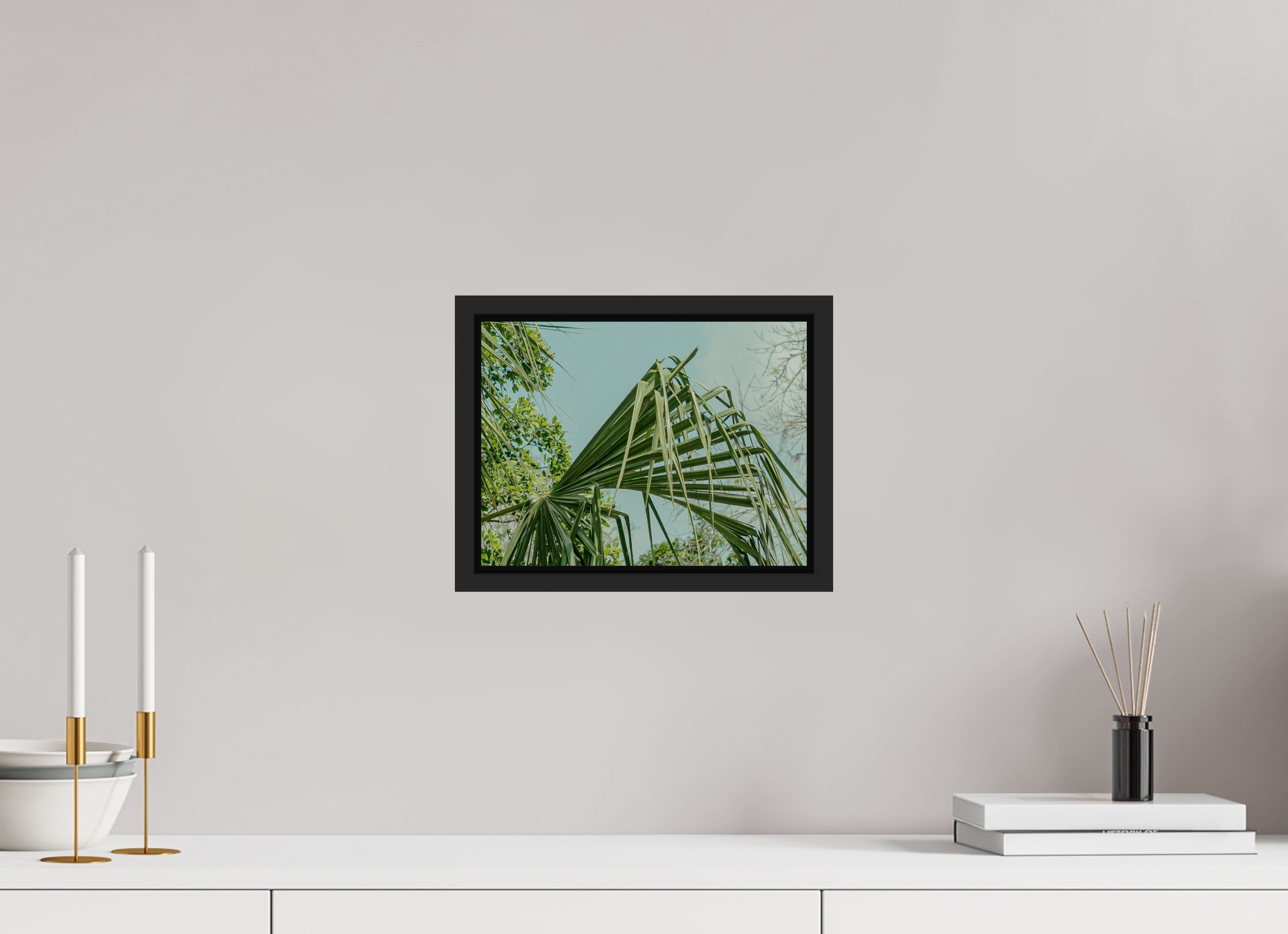 28 x 21 cm, Framed black matte fullbleed The Mexican Palm