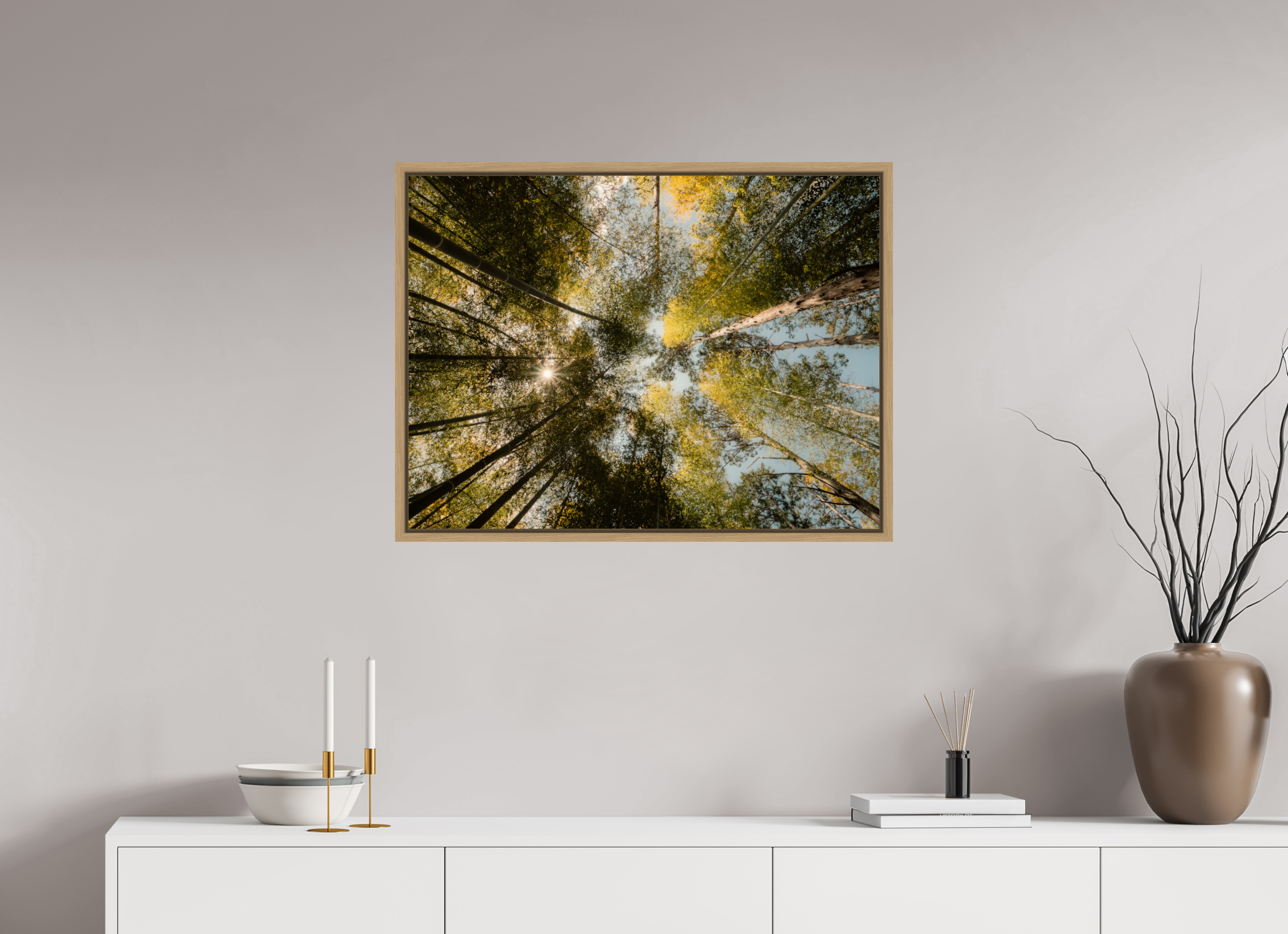 Sun through the trees