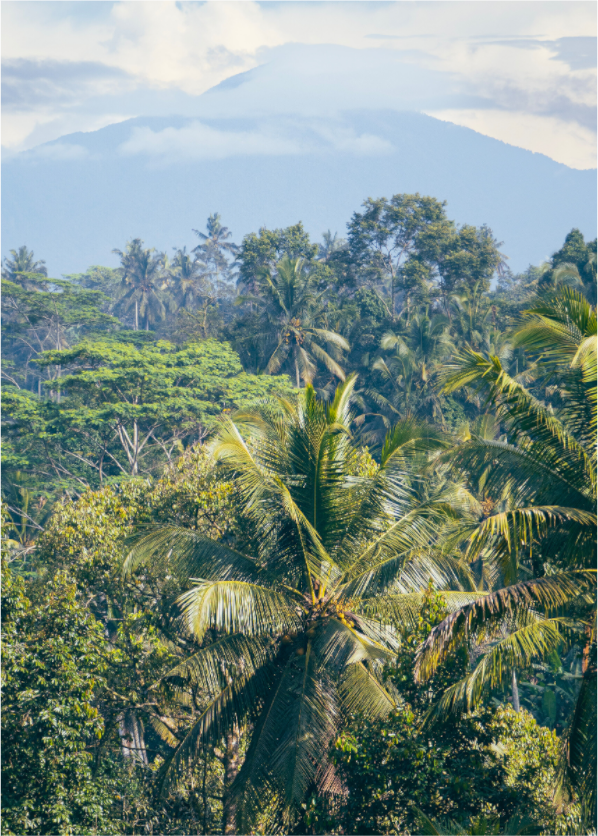 Onlooking the mountains