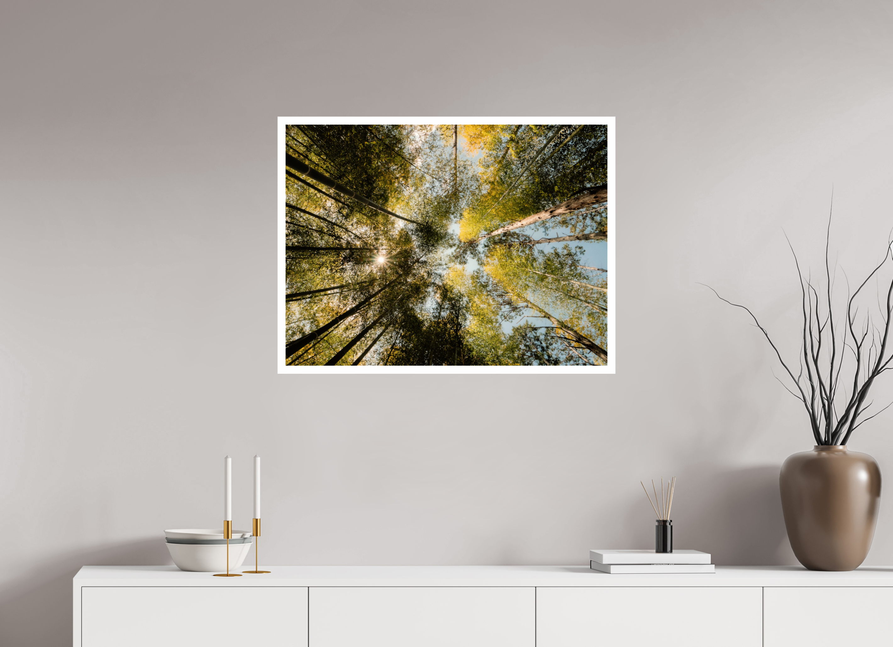 80 x 60 cm, Fuji Crystal DP II 2cm white border Sun through the trees