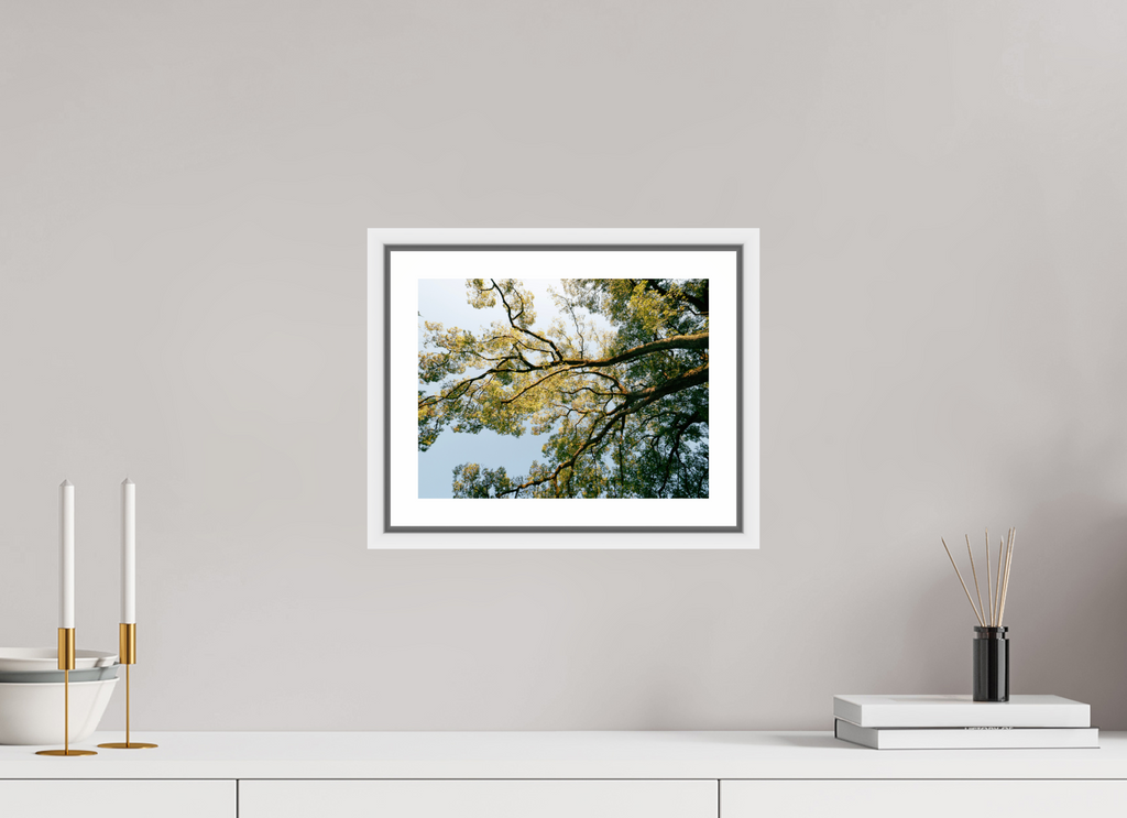 28 x 21 cm, Framed white with border A big Japanese tree