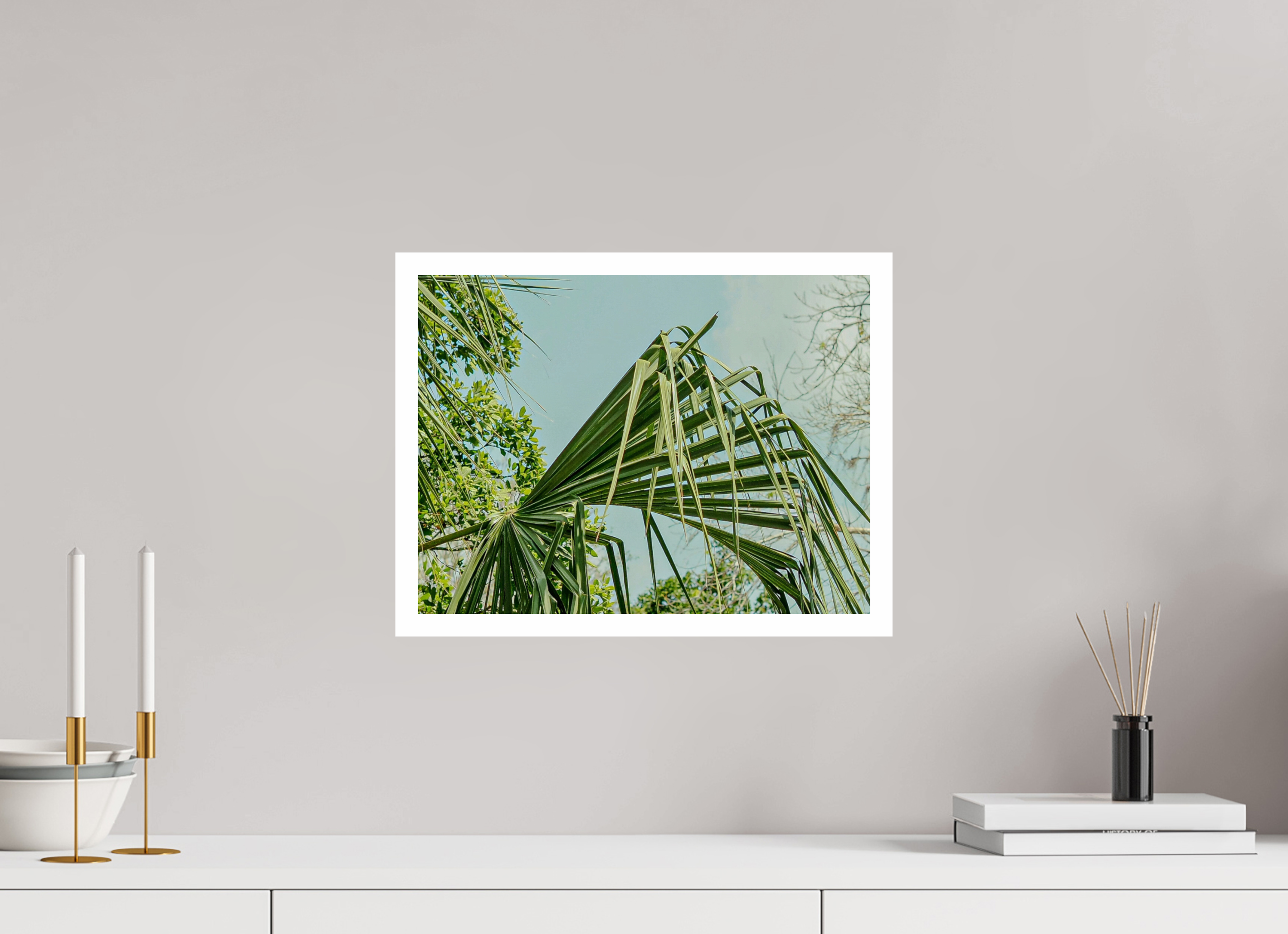 40 x 30 cm, Fuji Crystal DP II 2cm white border The Mexican Palm