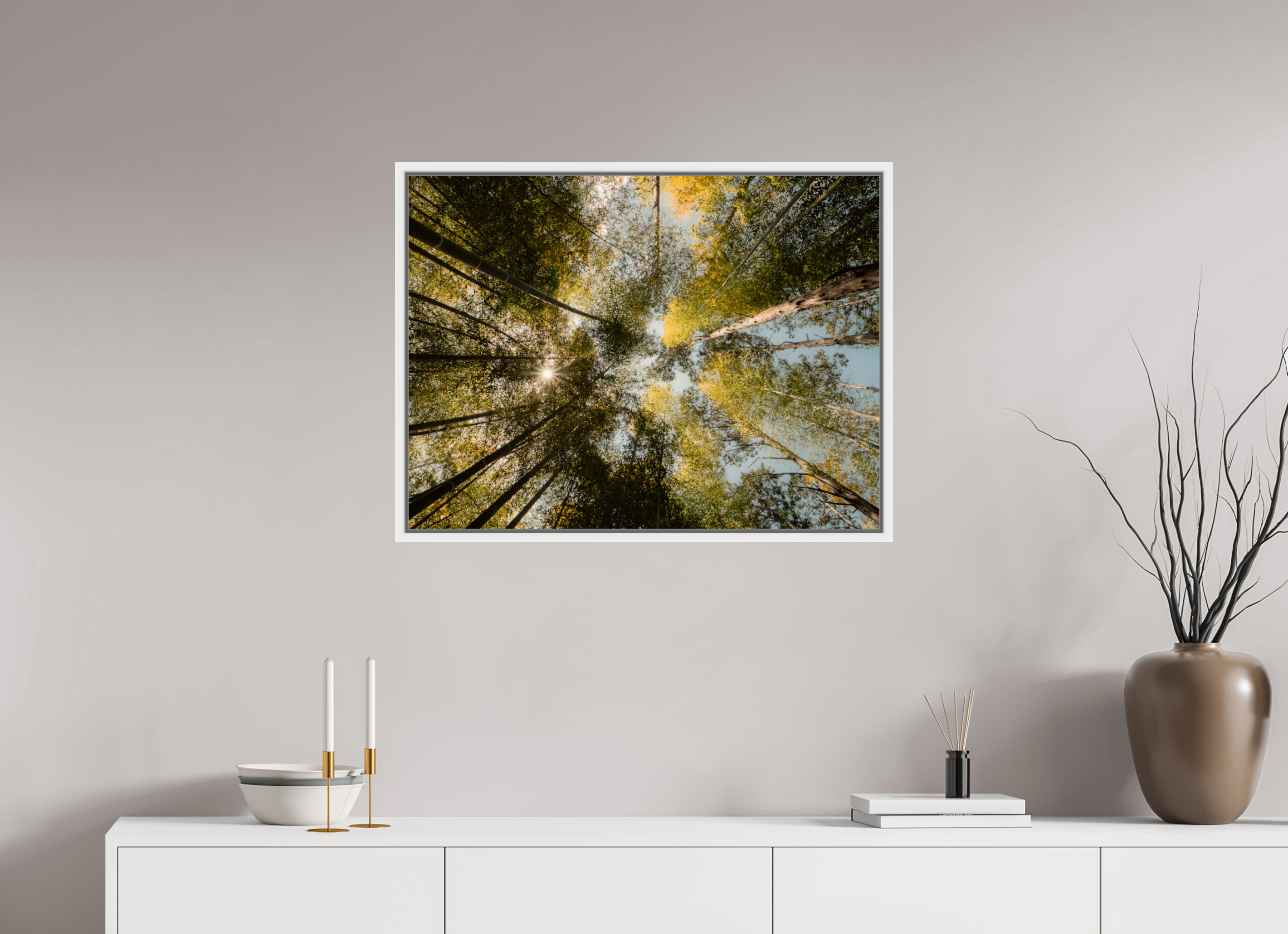 Sun through the trees