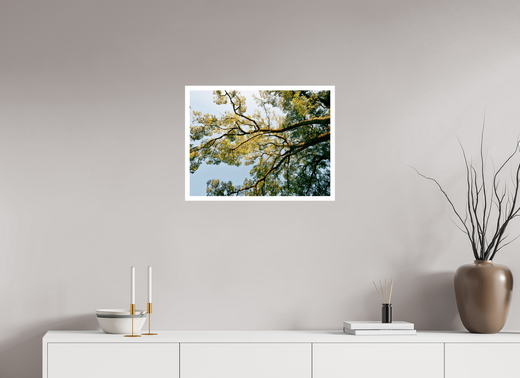 60 x 45 cm, Fuji Crystal DP II 2cm white border A big Japanese tree