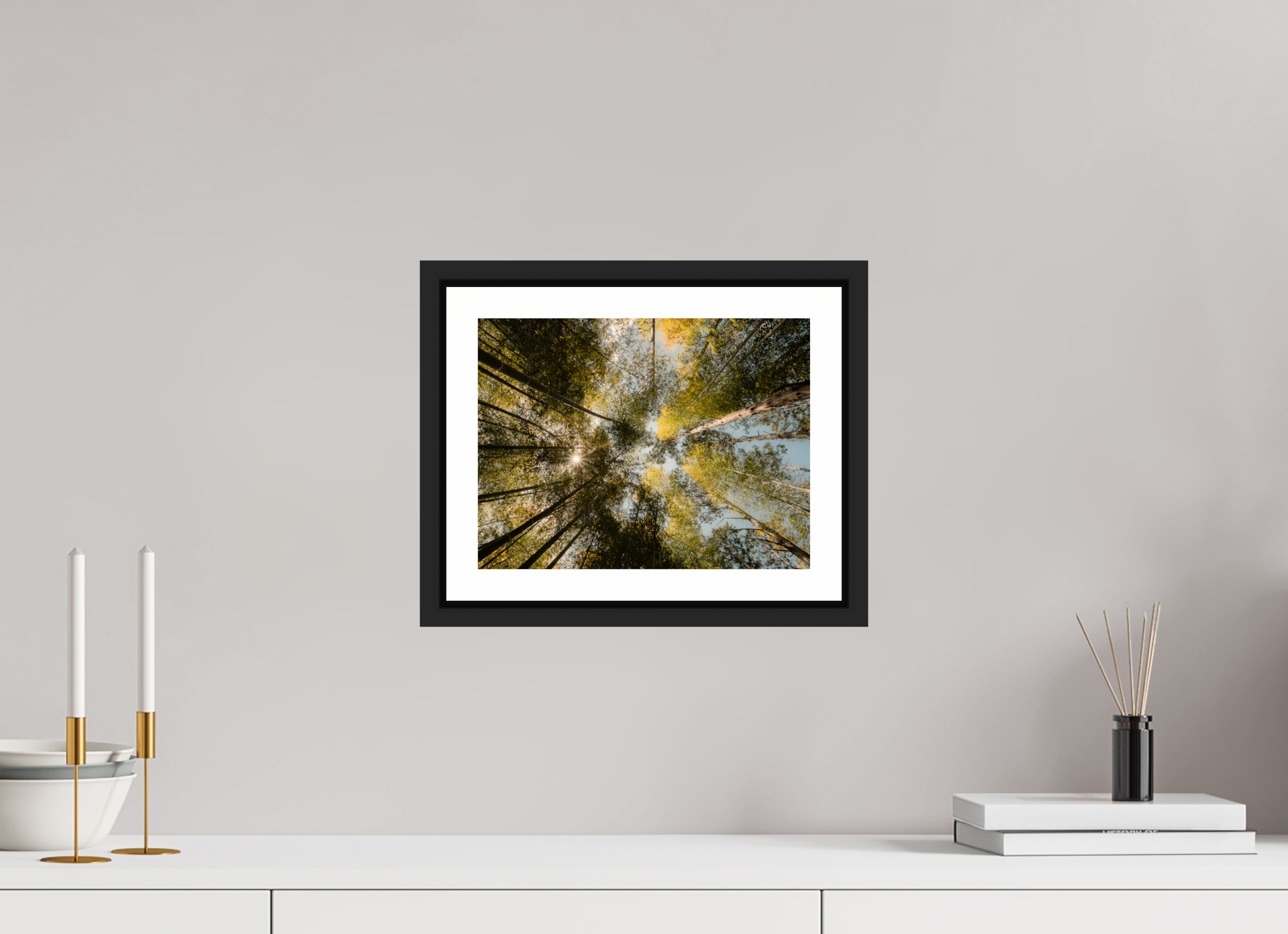 Sun through the trees