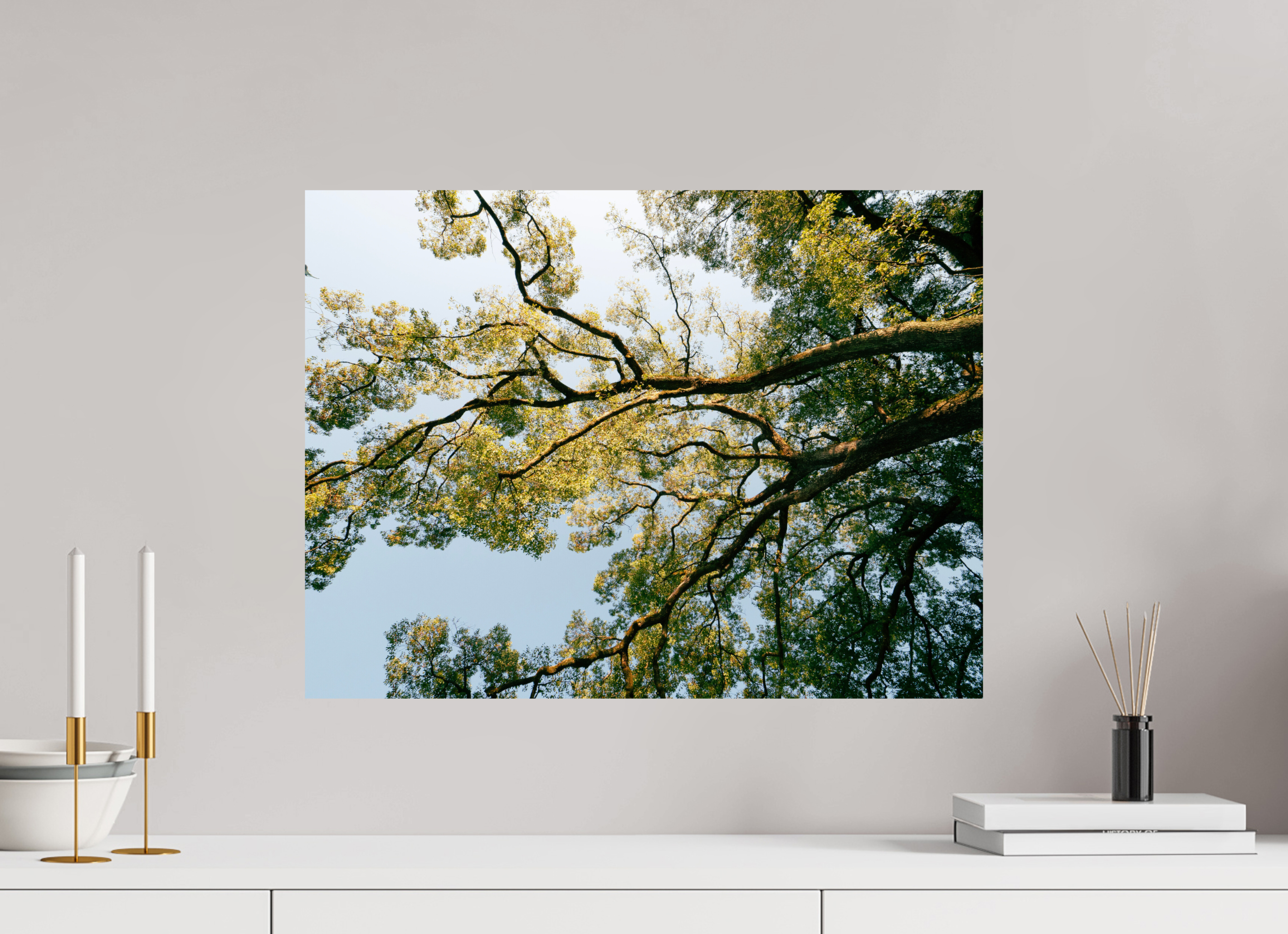 60 x 45 cm, Unframed Photo Print On Fuji Crystal DP II A big Japanese tree